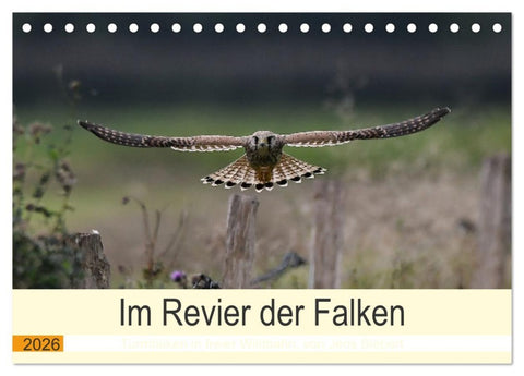 Im Revier der Falken (Tischkalender 2026 DIN A5 quer), CALVENDO Monatskalender