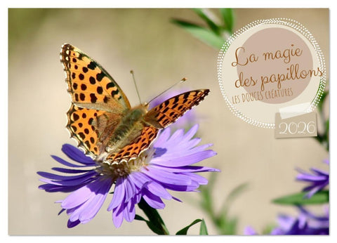 LA MAGIE DES PAPILLONS (Calendrier mural 2026 DIN A4 vertical), CALVENDO calendrier mensuel