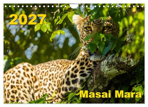 Masai Mara 2027 (Wandkalender 2027 DIN A4 quer), CALVENDO Monatskalender