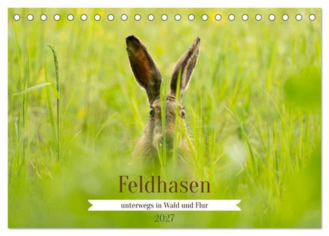 Feldhasen unterwegs in Wald und Flur (Tischkalender 2027 DIN A5 quer), CALVENDO Monatskalender