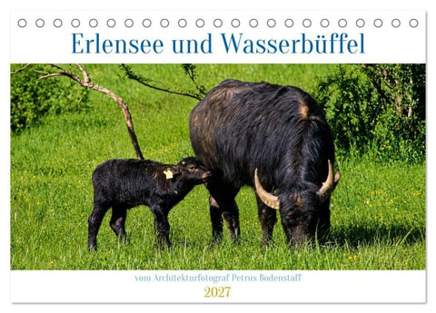 Erlensee und Wasserbüffel (Tischkalender 2027 DIN A5 quer), CALVENDO Monatskalender