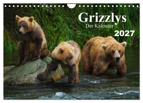 Grizzlys - Der Kalender (Wandkalender 2027 DIN A4 quer), CALVENDO Monatskalender