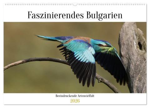 Faszinierendes Bulgarien (Wandkalender 2026 DIN A2 quer), CALVENDO Monatskalender