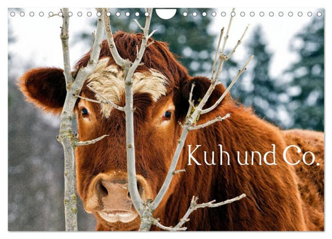 Kuh und Co. (Wandkalender 2027 DIN A4 quer), CALVENDO Monatskalender