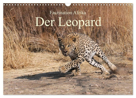 Faszination Afrika: Der Leopard (Wandkalender 2027 DIN A3 quer), CALVENDO Monatskalender