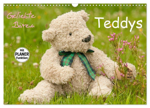 Geliebte Bären - Teddys (Wandkalender 2027 DIN A3 quer), CALVENDO Monatskalender