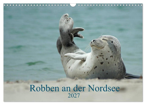 Robben an der Nordsee (Wandkalender 2027 DIN A3 quer), CALVENDO Monatskalender