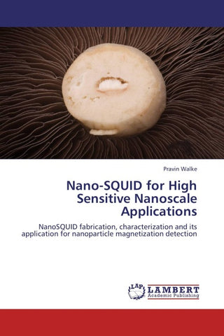Nano-SQUID for High Sensitive Nanoscale Applications