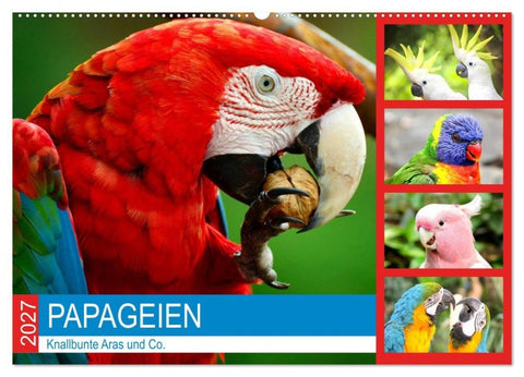 Papageien. Knallbunte Aras und Co. (Wandkalender 2027 DIN A2 quer), CALVENDO Monatskalender