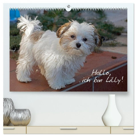 Hallo, ich bin Lilly (hochwertiger Premium Wandkalender 2027 DIN A2 quer), Kunstdruck in Hochglanz