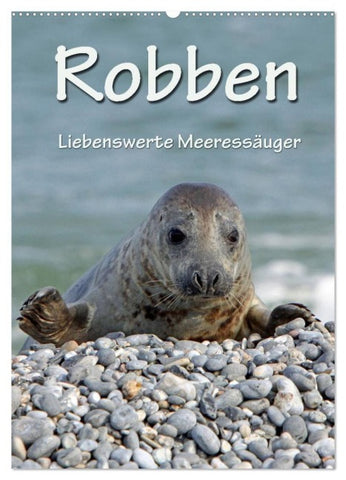 Robben (Wandkalender 2027 DIN A2 hoch), CALVENDO Monatskalender