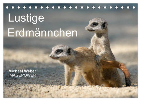 Lustige Erdmännchen (Tischkalender 2026 DIN A5 quer), CALVENDO Monatskalender