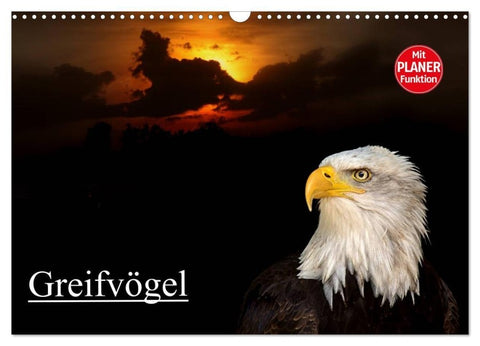 Greifvögel (Wandkalender 2027 DIN A3 quer), CALVENDO Monatskalender