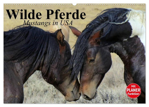 Wilde Pferde. Mustangs in USA (Wandkalender 2027 DIN A2 quer), CALVENDO Monatskalender
