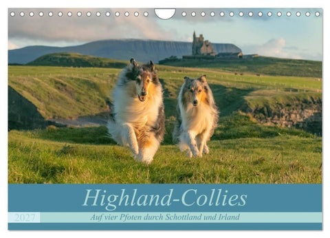 Highland-Collies - Auf vier Pfoten durch Schottland und Irland (Wandkalender 2027 DIN A4 quer), CALVENDO Monatskalender