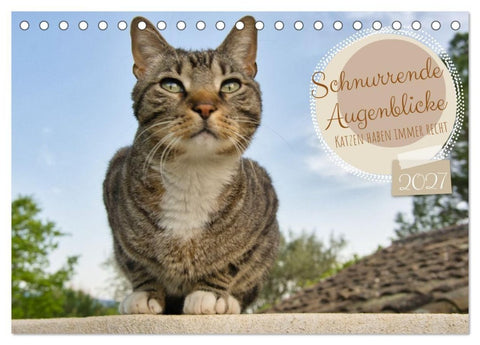 Schnurrende Augenblicke (Tischkalender 2027 DIN A5 quer), CALVENDO Monatskalender