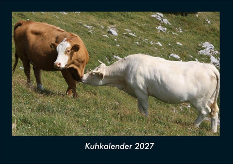 Kuhkalender 2027 Fotokalender DIN A4