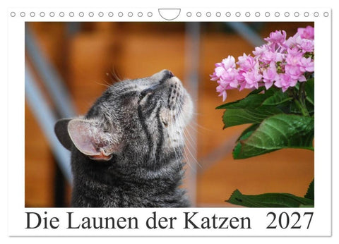 Die Launen der Katzen 2027 (Wandkalender 2027 DIN A4 quer), CALVENDO Monatskalender