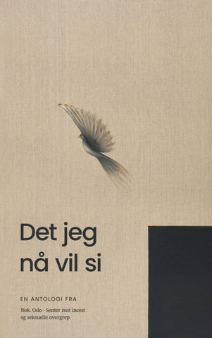 Det jeg nå vil si