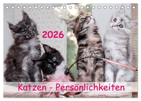 Katzen Persönlichkeiten 2026 (Tischkalender 2026 DIN A5 quer), CALVENDO Monatskalender