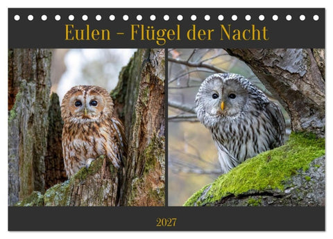 Eulen - Flügel der Nacht (Tischkalender 2027 DIN A5 quer), CALVENDO Monatskalender