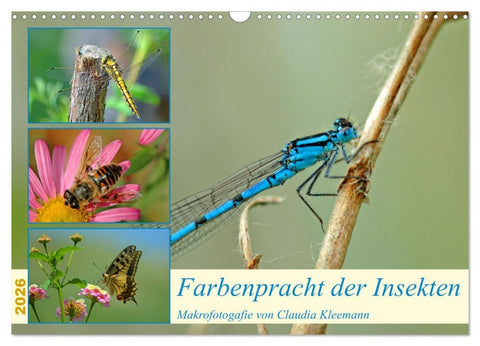 Farbenpracht der Insekten (Wandkalender 2026 DIN A3 quer), CALVENDO Monatskalender
