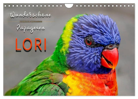 Wunderschöne Papageien - Lori (Wandkalender 2027 DIN A4 quer), CALVENDO Monatskalender