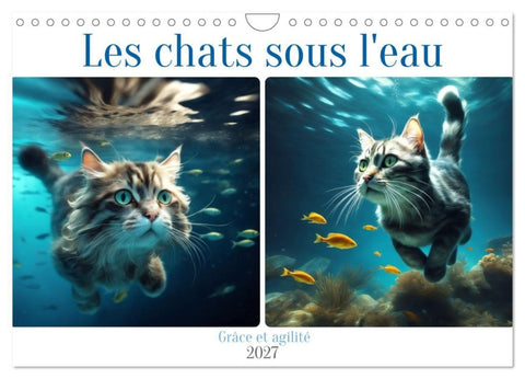 Les chats sous l'eau (Calendrier mural 2027 DIN A4 vertical), CALVENDO calendrier mensuel