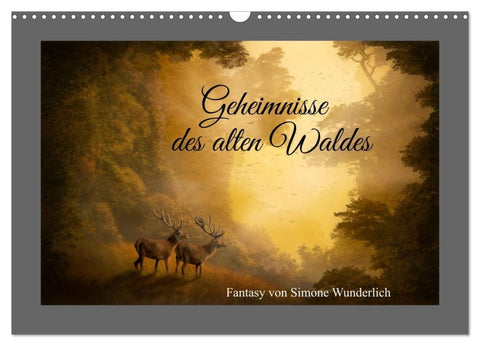Geheimnisse des alten Waldes (Wandkalender 2027 DIN A3 quer), CALVENDO Monatskalender