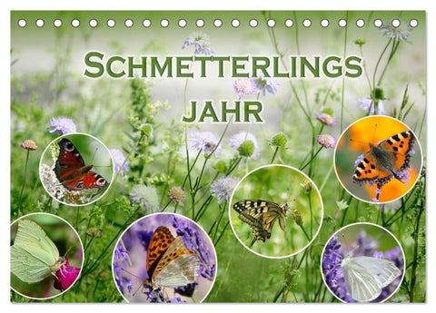 Schmetterlingsjahr (Tischkalender 2027 DIN A5 quer), CALVENDO Monatskalender