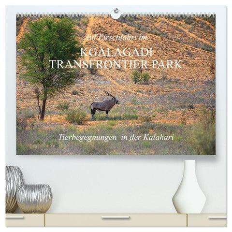 Auf Pirschfahrt im Kgalagadi Transfrontier Park (hochwertiger Premium Wandkalender 2027 DIN A2 quer), Kunstdruck in Hochglanz