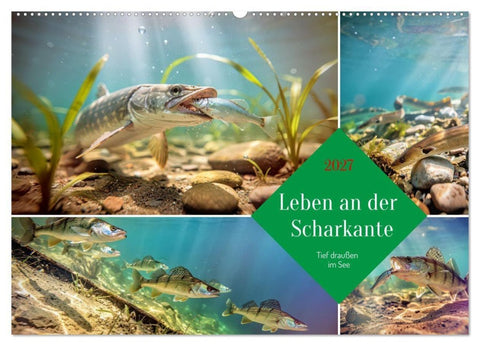Leben an der Scharkante (Wandkalender 2027 DIN A2 quer), CALVENDO Monatskalender