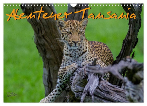 Abenteuer Tansania, Afrika (Wandkalender 2026 DIN A3 quer), CALVENDO Monatskalender