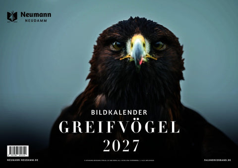 Greifvögel 2027 - Themenkalender