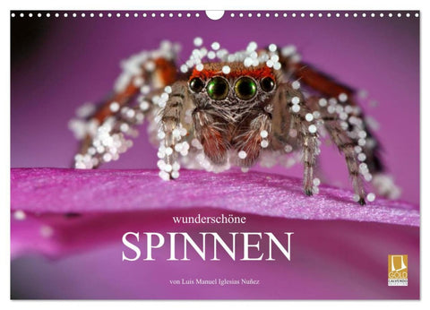 Wunderschöne Spinnen (Wandkalender 2026 DIN A3 quer), CALVENDO Monatskalender
