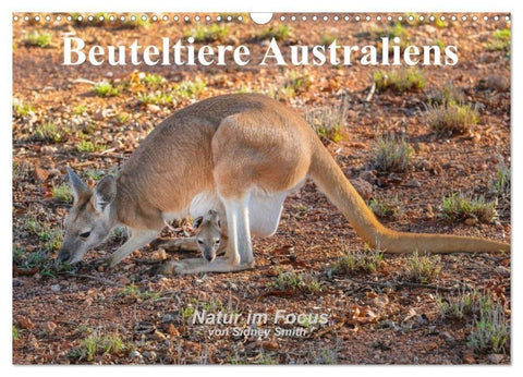 Beuteltiere Australiens (Wandkalender 2027 DIN A3 quer), CALVENDO Monatskalender