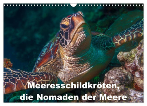 Meeresschildkröten, die Nomaden der Meere (Wandkalender 2026 DIN A3 quer), CALVENDO Monatskalender
