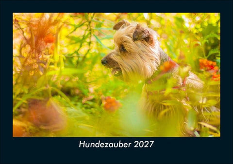 Hundezauber 2027 Fotokalender DIN A5
