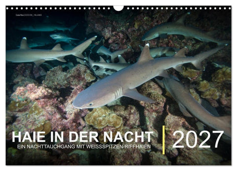Haie in der Nacht (Wandkalender 2027 DIN A3 quer), CALVENDO Monatskalender