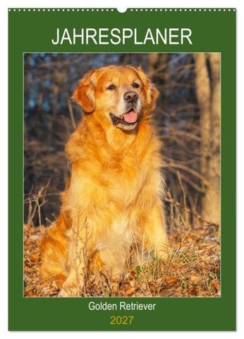 Jahresplaner Golden Retriever (Wandkalender 2027 DIN A2 hoch), CALVENDO Monatskalender