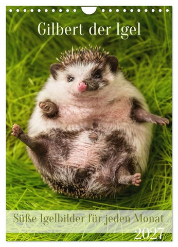 Gilbert der Igel (Wandkalender 2027 DIN A4 hoch), CALVENDO Monatskalender