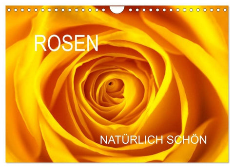 Rosen natürlich schön (Wandkalender 2027 DIN A4 quer), CALVENDO Monatskalender