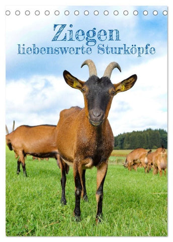 Ziegen - liebenswerte Sturköpfe (Tischkalender 2027 DIN A5 hoch), CALVENDO Monatskalender