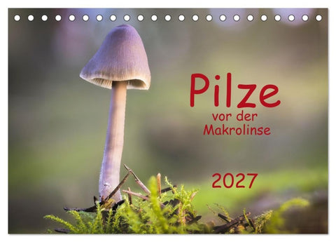 Pilze vor der Makrolinse 2027 (Tischkalender 2027 DIN A5 quer), CALVENDO Monatskalender