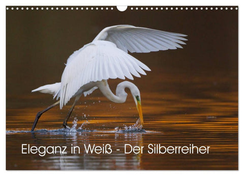 Eleganz in Weiß - Der Silberreiher (Wandkalender 2026 DIN A3 quer), CALVENDO Monatskalender