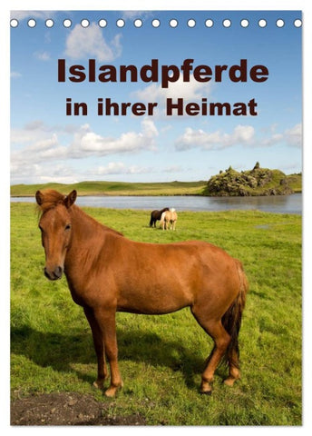 Islandpferde in ihrer Heimat (Tischkalender 2026 DIN A5 hoch), CALVENDO Monatskalender
