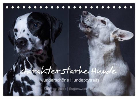 charakterstarke Hunde, wunderschöne Hundeportraits (Tischkalender 2027 DIN A5 quer), CALVENDO Monatskalender