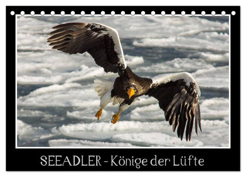 Seeadler - Könige der Lüfte (Tischkalender 2026 DIN A5 quer), CALVENDO Monatskalender