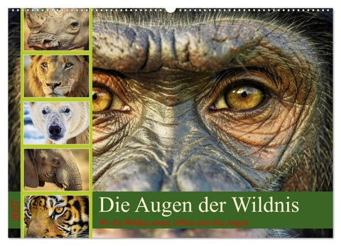 Die Augen der Wildnis (Wandkalender 2027 DIN A2 quer), CALVENDO Monatskalender