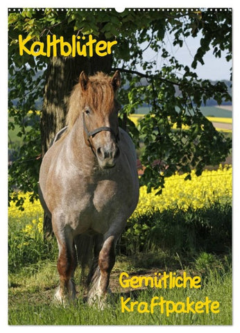 Kaltblüter (Wandkalender 2026 DIN A2 hoch), CALVENDO Monatskalender